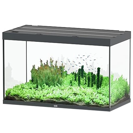 AQUATLANTIS Sublime Pro LED 2.0 aquarium design gris anthracite